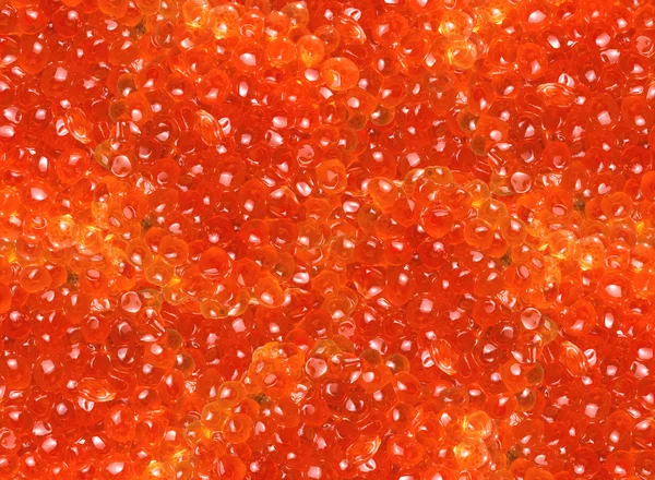 Caviar rojo — Foto de Stock