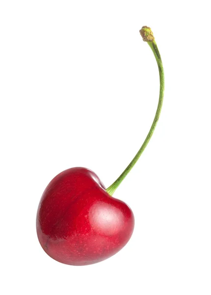 Cherry — Stock Photo, Image