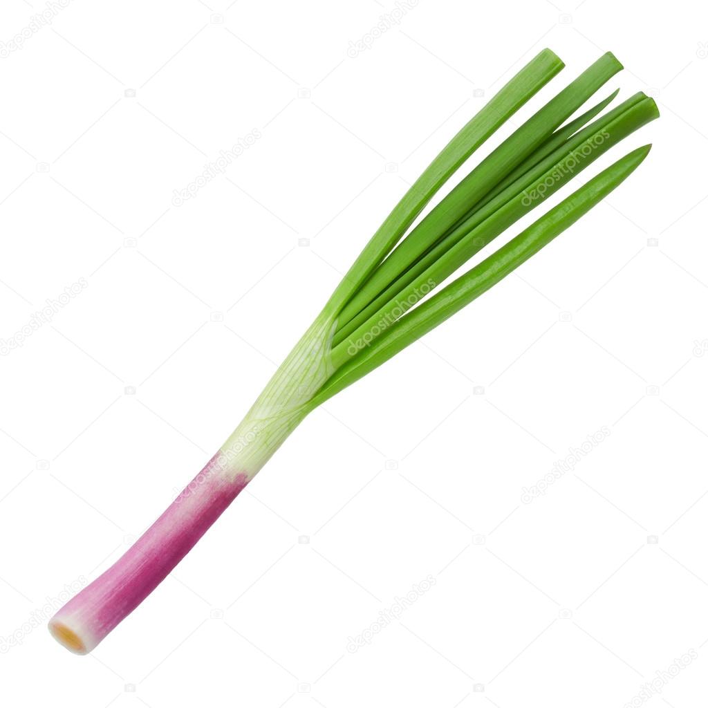 green onion on a white background