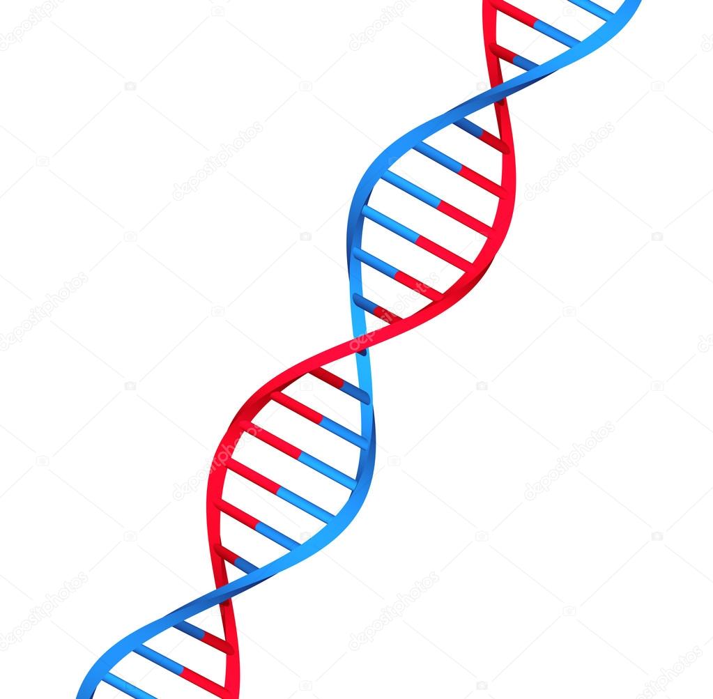 molecule dna on white background