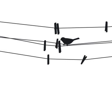 bir ip-yanındaki clothespins kuş oturuyor