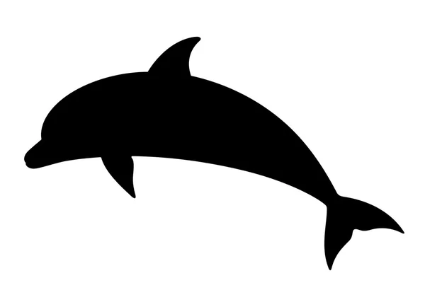 Dolphin — Stock Vector