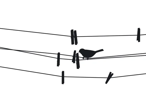 bir ip-yanındaki clothespins kuş oturuyor