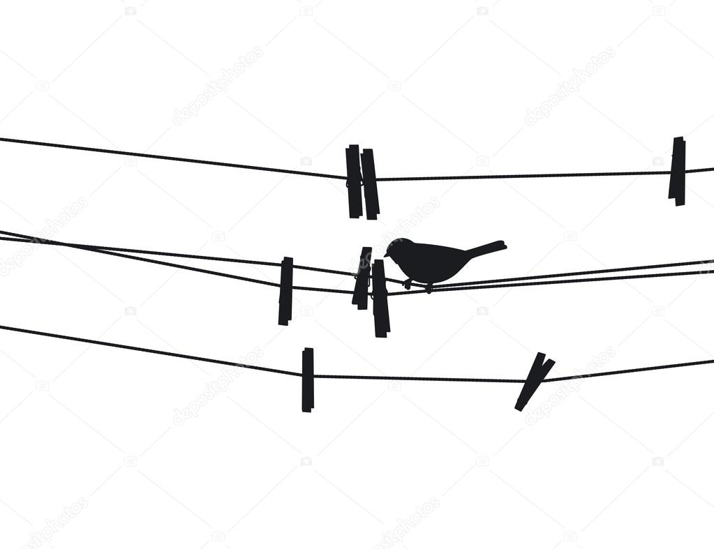 Bird sits on a rope next to the clothespins