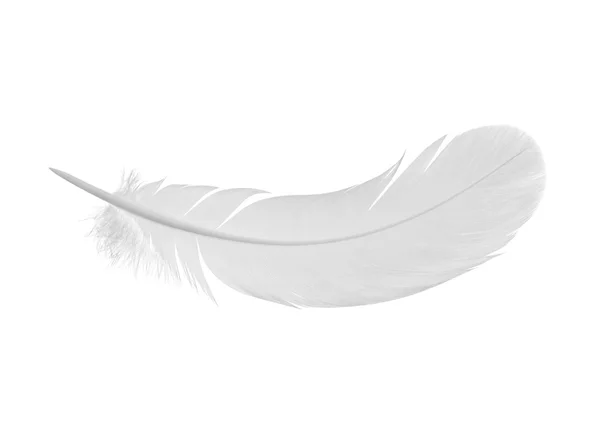 Feather — Stock Photo, Image