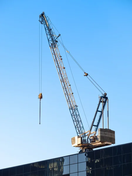 Hissa crane — Stockfoto
