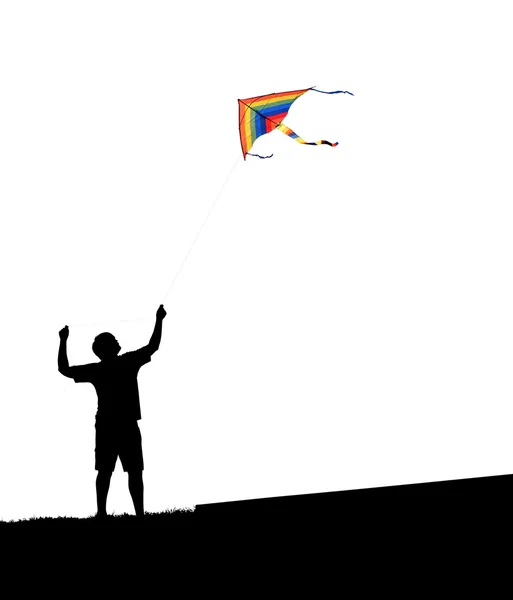 Az ember és a kite-fehér alapon — Stock Fotó