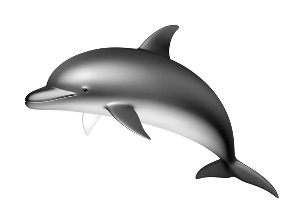 Дельфін на білому тлі — стокове фото