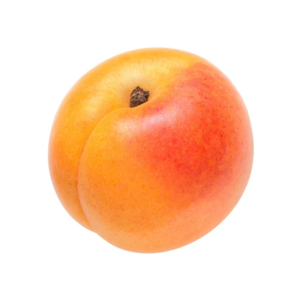 Apricot on a white background — Stock Photo, Image