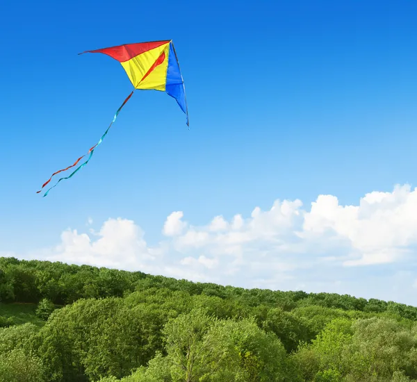 Drachen fliegen am Himmel über dem Wald — Stockfoto