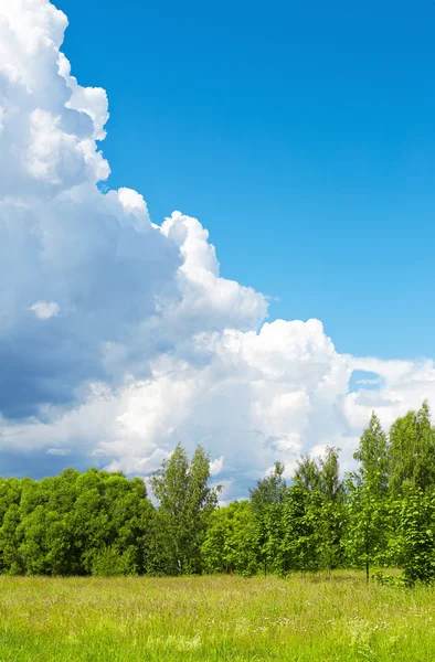 Paisagem de verão com um campo de texto — Fotografia de Stock