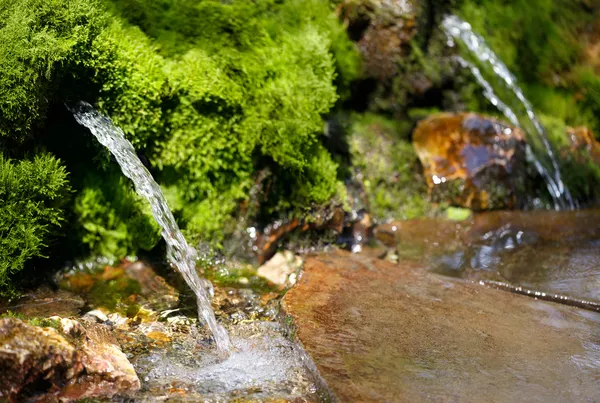 Zdroj pramenité vody — Stock fotografie