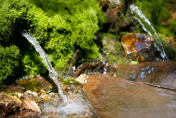 Source d'eau de source — Photo