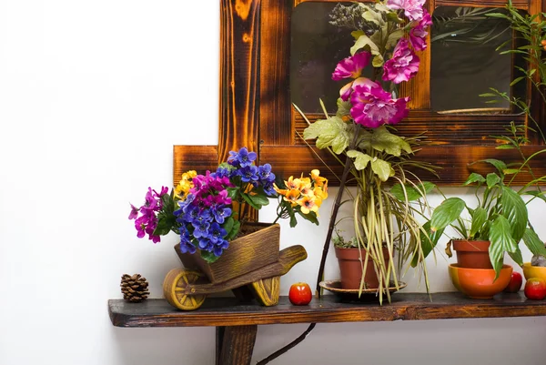 Still life from different flowerpots on shelf — Stock Photo, Image