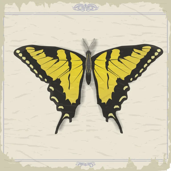 Vintage kartpostal ile görüntü swallowtail — Stok Vektör