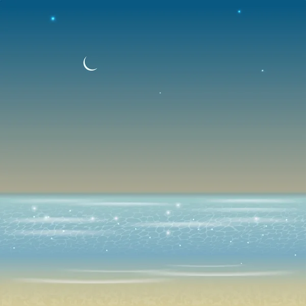 Gece deniz manzara resmi — Stok Vektör