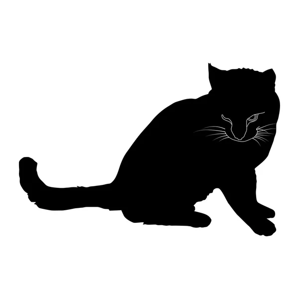 Black silhouette of a cat — Stock Vector