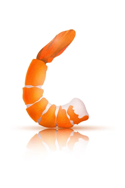 Shrimp on a white background. Vector illustration — Stock Vector