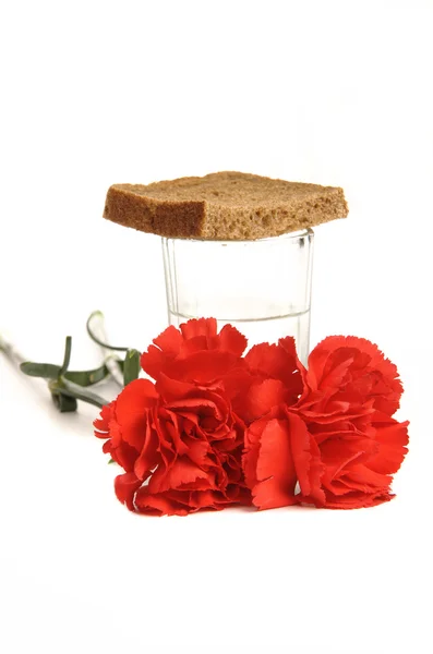 Glass of vodka and a red carnation on white background — Stock Photo, Image