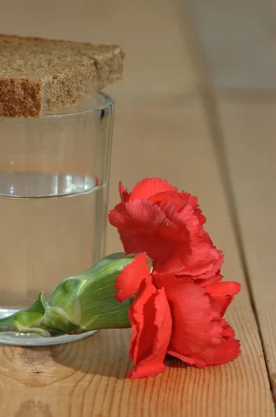 Vetro di vodka e garofani rossi su un tavolo di legno — Foto Stock