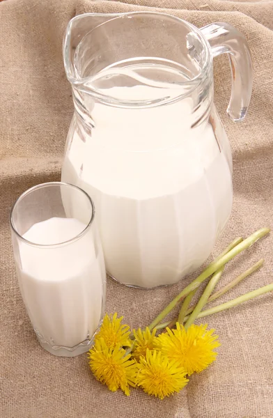 Jug with fresh milk and yellow flowers — Stock Photo, Image