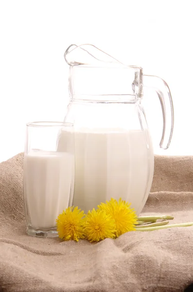 Glass jug with fresh milk and yellow flowers — Stock Photo, Image
