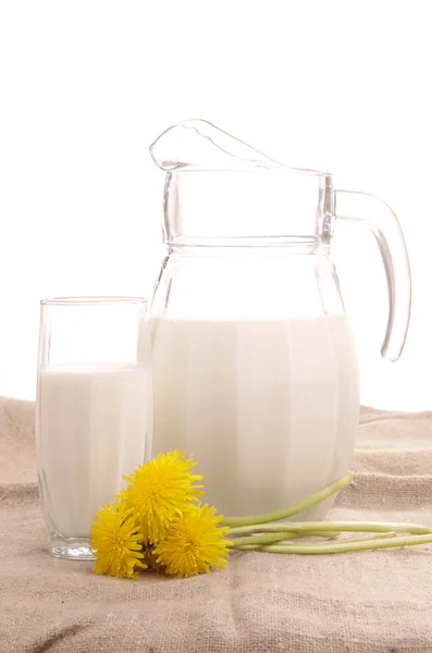 Glaskrug mit frischer Milch und gelben Blumen auf weißem Hintergrund — Stockfoto