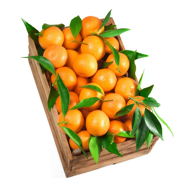 Orange lådan — Stockfoto