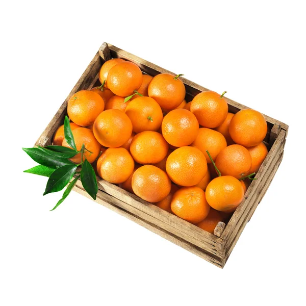 Orangefarbene Kiste — Stockfoto