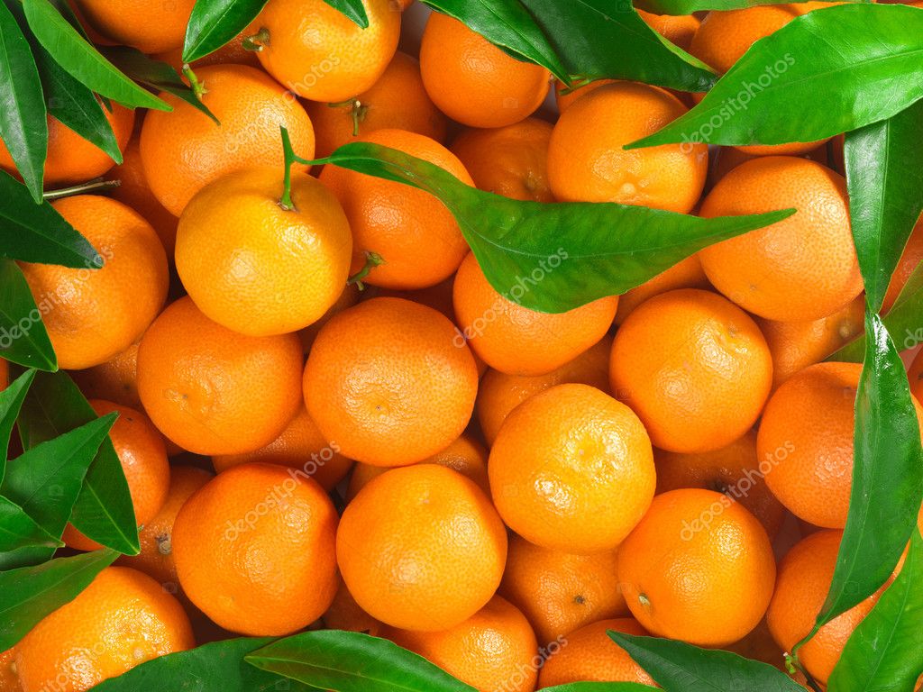 Naranjas — Foto de stock © smaglov #16911421