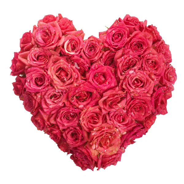 Květy růže srdce s vodou kapky na bílém pozadí. Valentýna. Láska — Stock fotografie