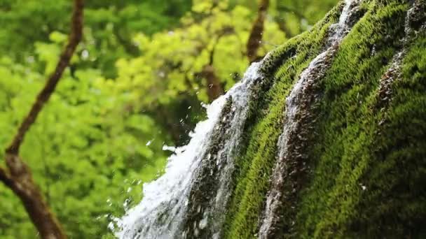 Красивый водопад в горном лесу — стоковое видео