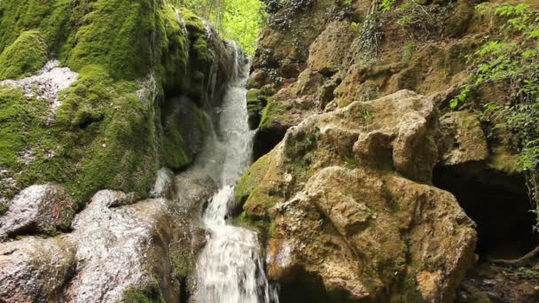 Красивый водопад в горном лесу — стоковое видео