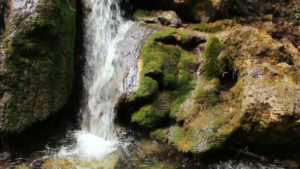 Bella cascata in legno di montagna — Video Stock