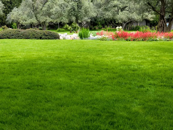 Трава в красивом саду — стоковое фото