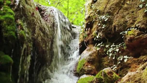 Schöner Wasserfall im Gebirgswald — Stockvideo