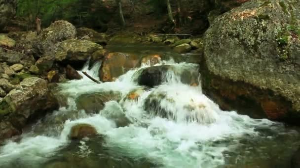 Hermosa cascada en bosque de montaña — Vídeos de Stock