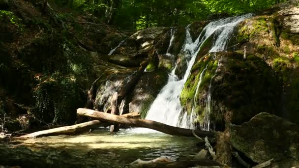 Bela cachoeira em madeira de montanha — Vídeo de Stock