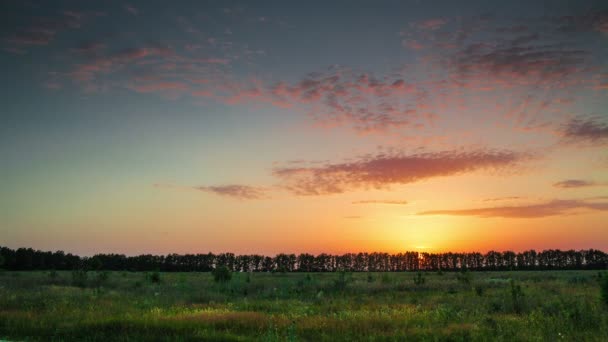 Árboles y puesta de sol — Vídeos de Stock