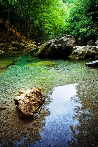 Floresta cachoeira e rochas cobertas de musgo — Fotografia de Stock