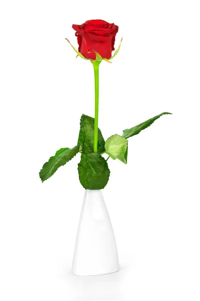 Single red rose in a vase — Stock Photo, Image