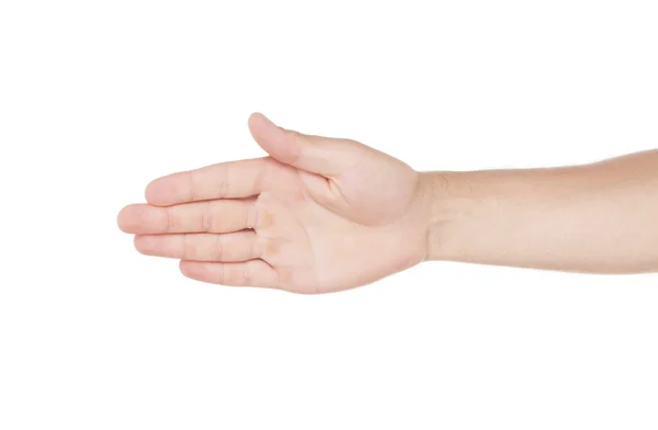 Mans hand (handflata) — Stockfoto