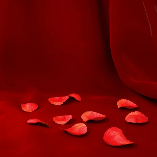 Rose petals on a red background — Stock Photo, Image