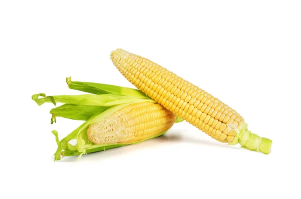 Ear of Corn isolated on a white background — Stock Photo, Image