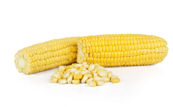 在白色背景上孤立的玉米穗 — 图库照片