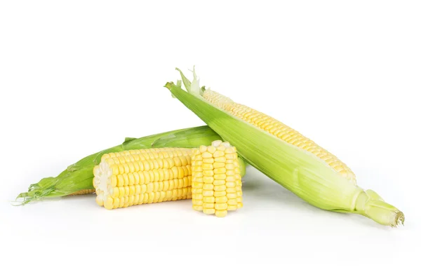 Ear of Corn isolated on a white background — Stock Photo, Image