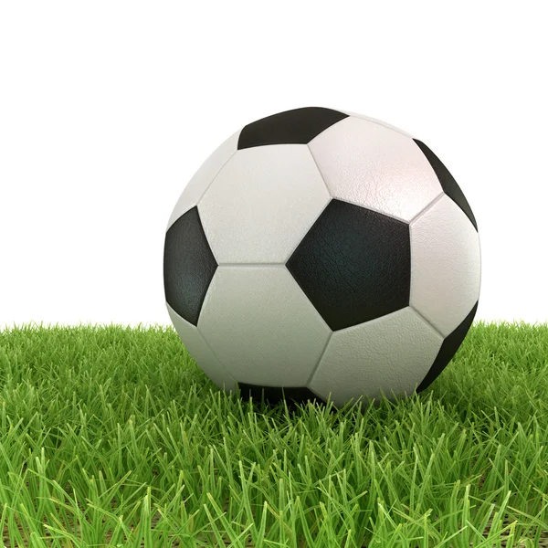 Pallone da calcio su erba verde — Foto Stock