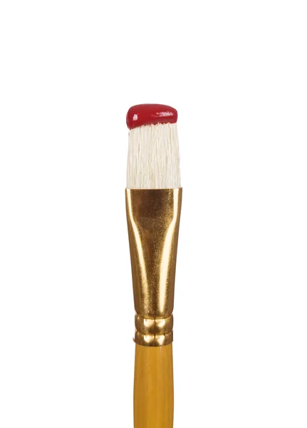 Paint brushes and paint — Stock Photo, Image