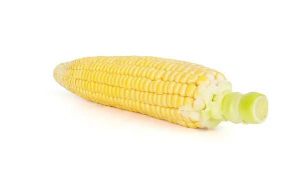 Fresh corn — Stock Photo, Image