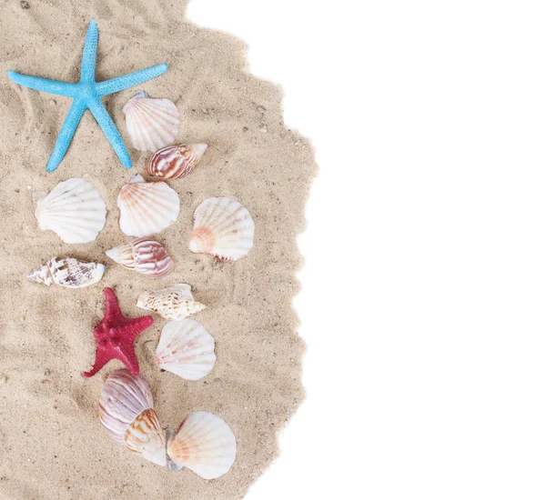 Sand and sea shells isolated — Stock Photo, Image